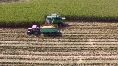 Safra agrícola eleva o PIB do agronegócio em quase 10%