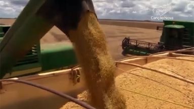 Brasil, em alguns anos, pode ser o maior exportador de grãos do mundo