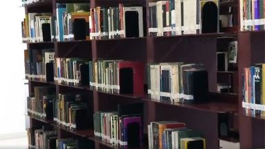 Dia Nacional do Livro: data reforça a importância da leitura