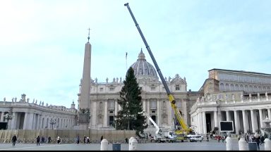 Árvore de Natal chega à Praça São Pedro no Vaticano