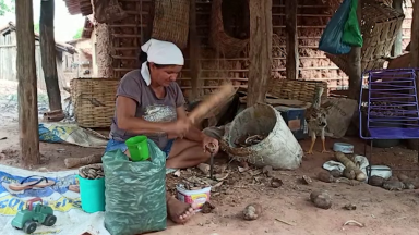 Conheça o exigente trabalho das quebradeiras do coco-babaçu