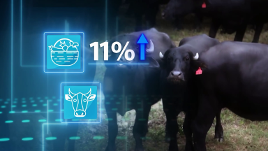 Produção agropecuária brasileira supera expectativa e bate recorde
