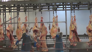 China retorna com a importação de carne bovina brasileira