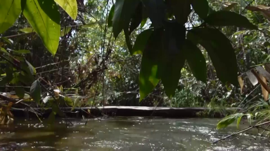 Reportagem explica os fenômenos cabeça d’água e tromba d’água