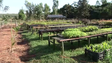 Produtores rurais atingidos pelo clima pedem ajuda ao governo