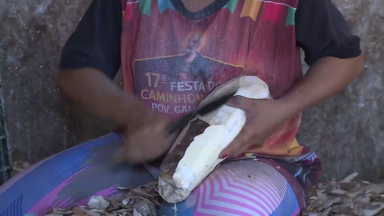 Produção da farinha de mandioca sustenta 800 famílias em Sergipe