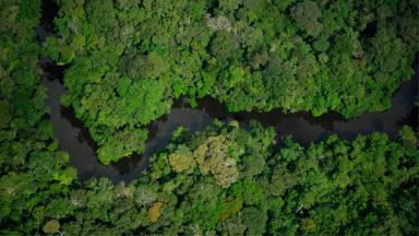 Querida Amazônia: uma carta de amor escrita para e com o Povo de Deus