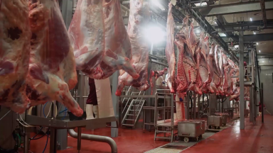 Canadá abre mercado de importação de carne do Brasil