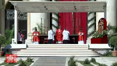 Durante celebração de Domingo de Ramos, Papa pede trégua Pascal