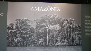 São Paulo recebe 'Exposição Amazônia' do fotógrafo Sebastião Salgado