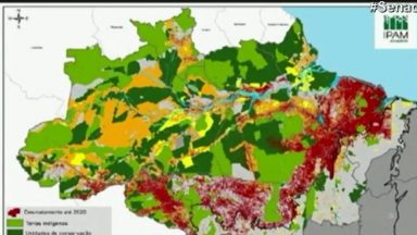 Meio ambiente: Código Florestal completa dez anos