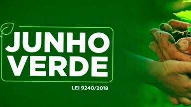 Senado aprova lei que cria a Campanha Junho Verde