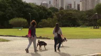 São Paulo possui mais de 100 parques urbanos, verdadeiros refúgios