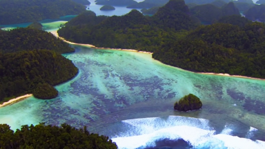 Crônica lembra que o Papa colocou os oceanos como intenção de oração