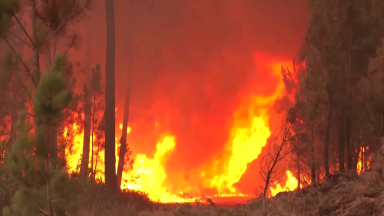 Altas temperaturas colocam cidades do interior de Portugal em risco