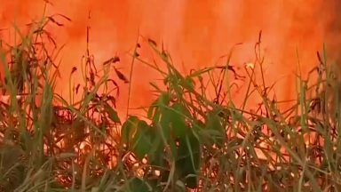 Queimadas e incêndios se intensificam com a chegada do tempo frio