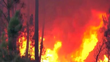 Portugal sofre com as altas temperaturas e os incêndios