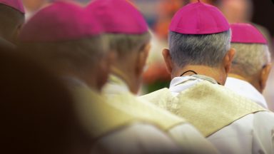 Papa recebe bispos, entre eles brasileiros de recente nomeação