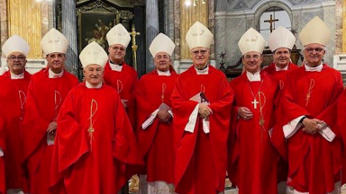 Bispos do Regional Sul 1 da CNBB estão em visita Ad Limina