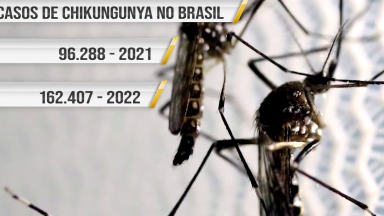 Fiocruz registra aumento de 68,6% em casos de dengue no País