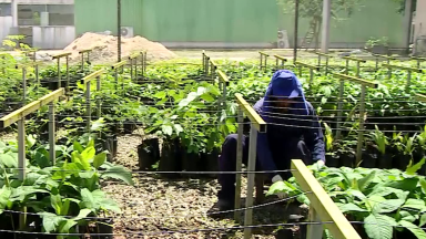 Empresas poderão implantar agricultura digital no Brasil