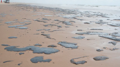 Manchas de óleo em praias do Nordeste preocupam autoridades