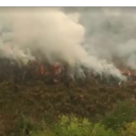tempo da criação e os desastres naturais