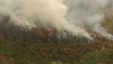 Cazaquistão sofre com incêndios e Índia com chuvas torrenciais