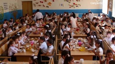 Papa envia mensagem à Organização para a Alimentação e Agricultura