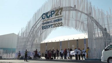 Papa lembra a COP27: que haja progressos com coragem e determinação
