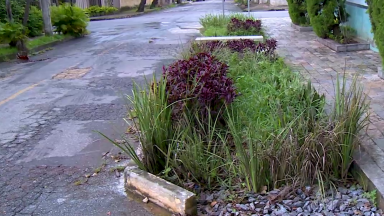 Jardim de chuva é a nova ferramenta para o combate aos alagamentos