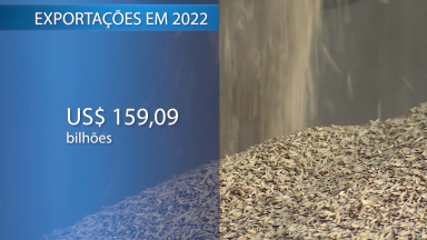 Agronegócio cresce em 2022 e tendência continua alta este ano