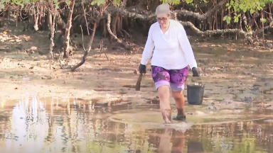 Acompanhe o trabalho árduo dos marisqueiros de Igarassu