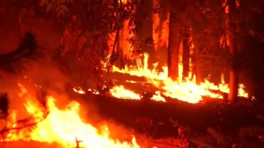 Chile pede apoio internacional para combater incêndios florestais