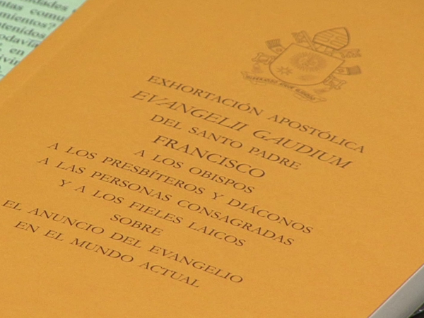Dez anos de Evangelii gaudium, Fisichella: texto com força motriz - Vatican  News