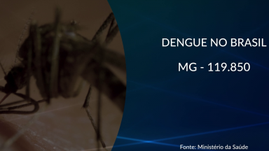 Minas Gerais vive uma epidemia de dengue e Chikungunya
