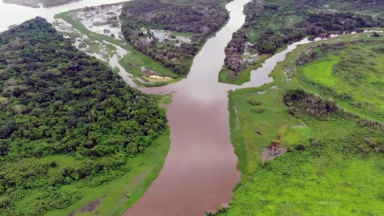 Pantanal se recupera após quatro anos de estiagem