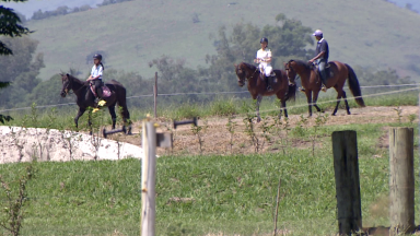 Hípica une paixão por cavalos e animais exóticos no interior de São Paulo