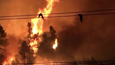 Espanha registra o maior incêndio do ano com 3 mil hectares destruídos