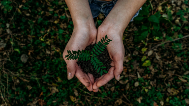 Semana Laudato Si’ celebra encíclica e promove cuidados com o planeta