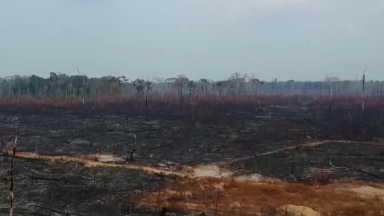 Governo de São Paulo faz lançamento da “Operação SP Sem Fogo”