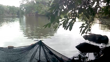 Projeto tem objetivo de restabelecer a fauna aquática do Rio Paraíba do Sul