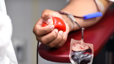 Neste mês, campanhas em todo o Brasil incentivam doação de sangue