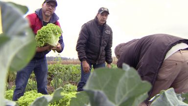 Produtores rurais do interior querem priorizar qualidade nos alimentos