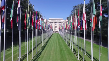 Santa Sé na ONU: direitos humanos são valores atemporais irrevogáveis