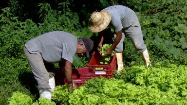 Canção Nova investe em Núcleo para ações de sustentabilidade