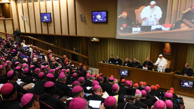 Bispos comentam participação brasileira no Sínodo