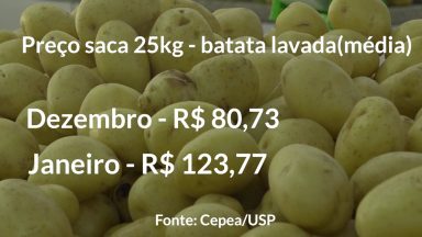 Preço da batata sobe mais de 50%, veja os motivos