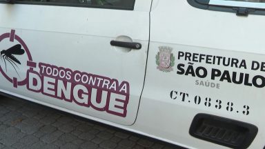 São Paulo sofre com aumento dos casos de dengue na cidade