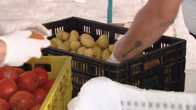 Projeto faz doação de alimentos produzidos em excesso